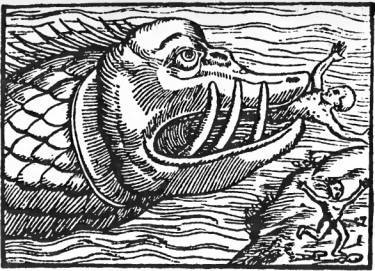 На крыльях муссонов - i_046.jpg