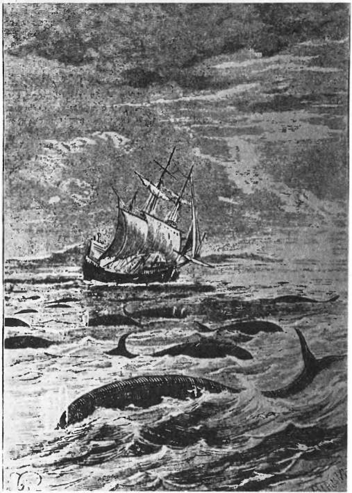 На крыльях муссонов - i_064.jpg