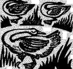 Сказки народов СССР - _42.jpg