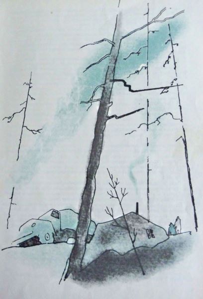 Командир Иванов - i_012.jpg