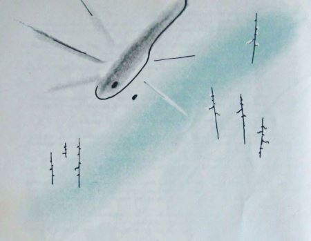 Командир Иванов - i_015.jpg