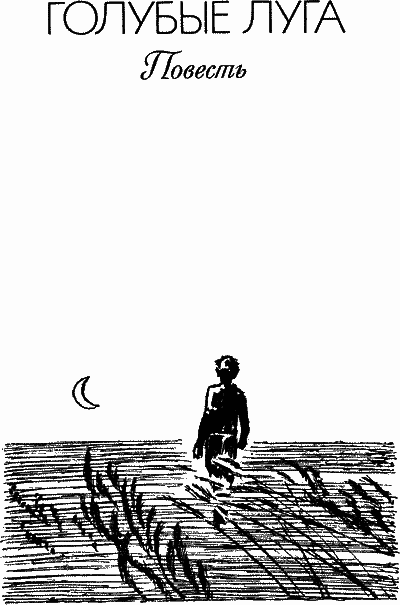 Голубые луга - nonjpegpng__3.png