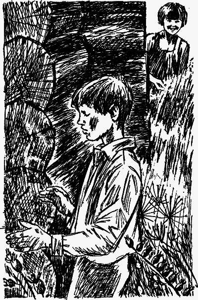 Голубые луга - nonjpegpng__4.png