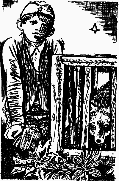 Голубые луга - nonjpegpng__8.png