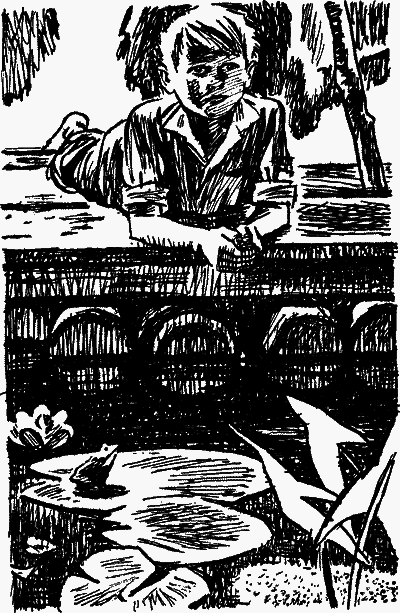 Голубые луга - nonjpegpng__14.png