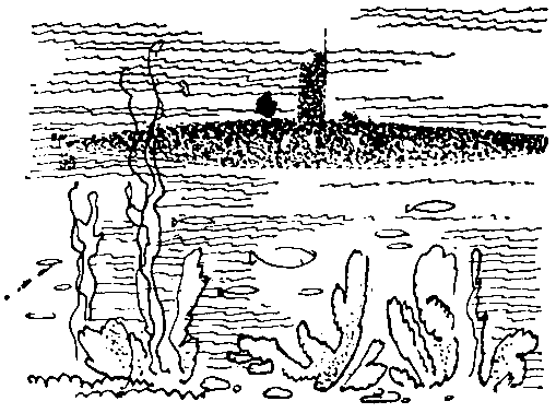 Сокровища капитана Ермакова. Тетрадь вторая - pic_18.png