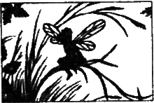 Небесний народ - i_017.png