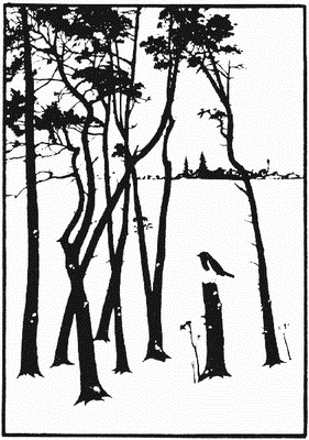 Человек, который принял жену за шляпу и другие истории из врачебной практики - _11.png