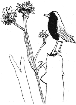 Человек, который принял жену за шляпу и другие истории из врачебной практики - _12.png