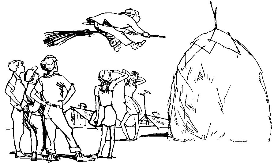 Летающие кочевники - pic_8.png