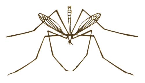 Теремок. Мизгирь - i_002.png