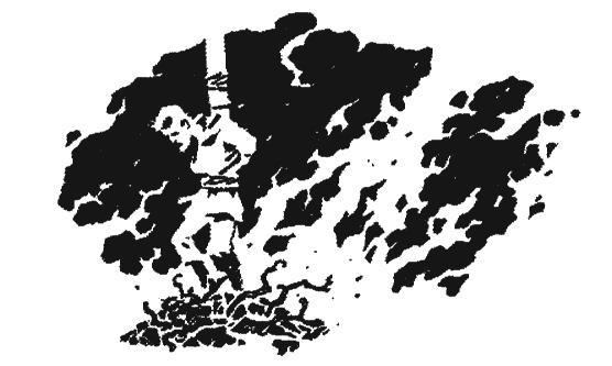 Проклятие Ведьмака - i_026.jpg