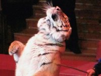 День смеха (СИ) - Рыбалкин Валерий