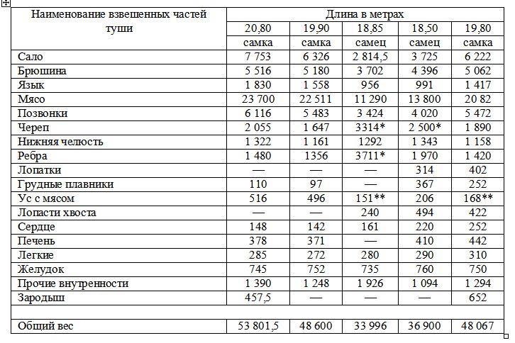 Вокруг света за китами - _91.jpg