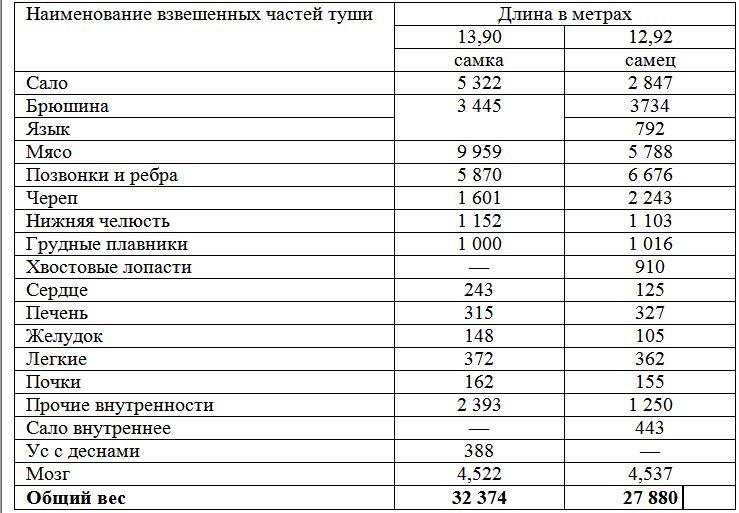 Вокруг света за китами - _92.jpg