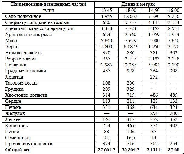 Вокруг света за китами - _93.jpg