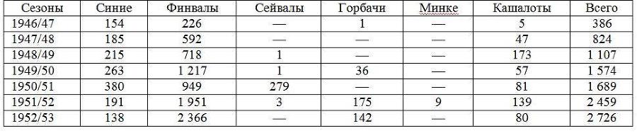 Вокруг света за китами - _95.jpg