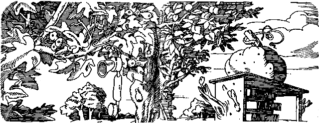 История, конца которой нет - pic_6.png