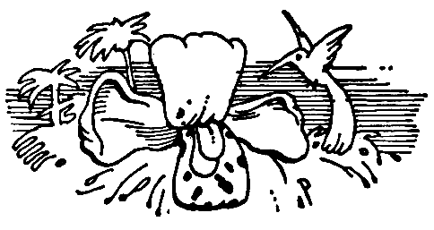 История, конца которой нет - pic_27.png