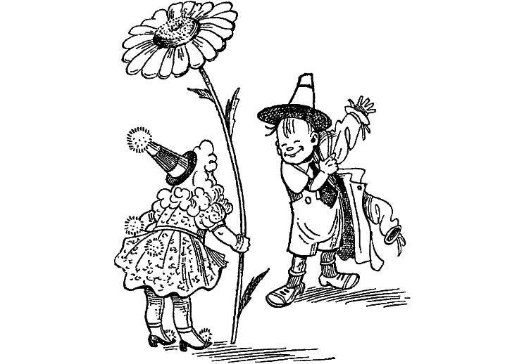 Приключения Незнайки и его друзей (худ. К. и В. Григорьевы) (СИ) - _65.jpg