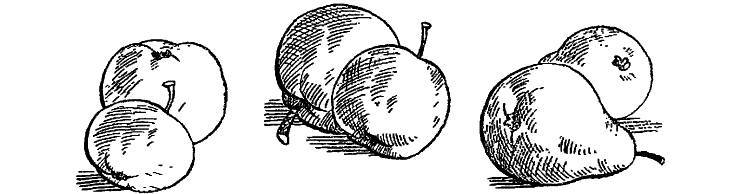 Приключения Незнайки и его друзей (худ. К. и В. Григорьевы) (СИ) - _93.jpg