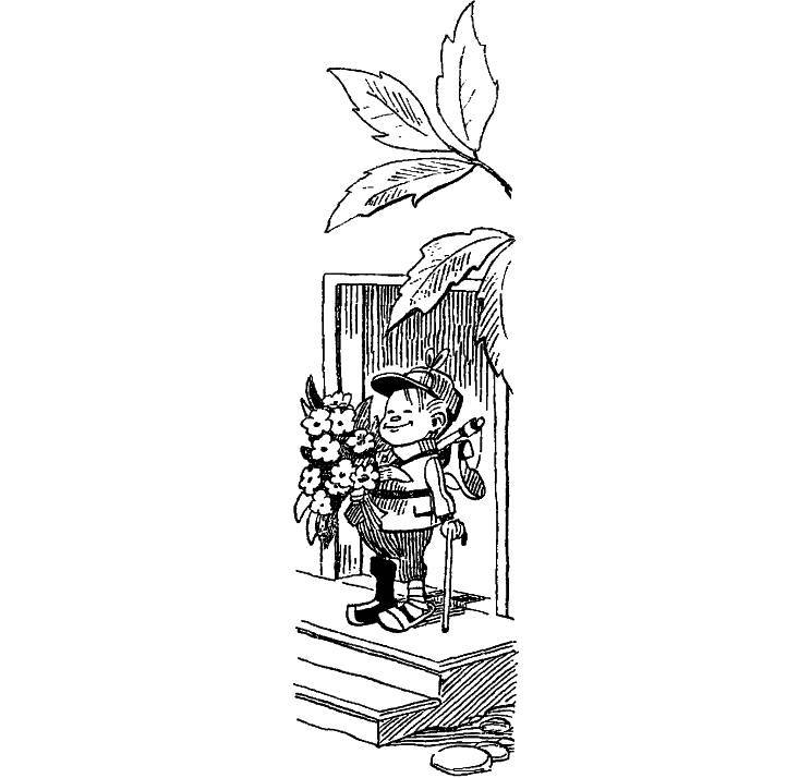 Приключения Незнайки и его друзей (худ. К. и В. Григорьевы) (СИ) - _104.jpg