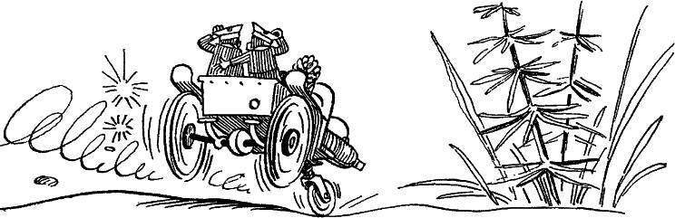 Приключения Незнайки и его друзей (худ. К. и В. Григорьевы) (СИ) - _74.jpg