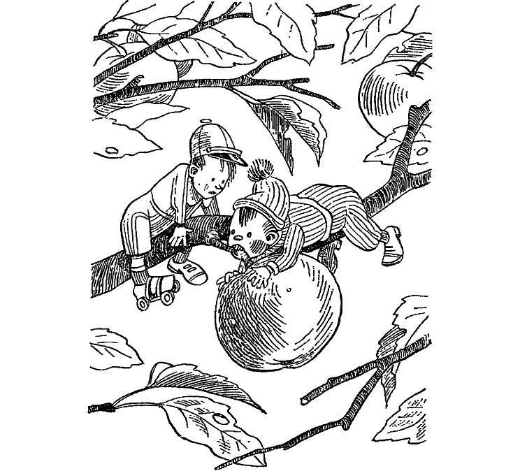 Приключения Незнайки и его друзей (худ. К. и В. Григорьевы) (СИ) - _88.jpg