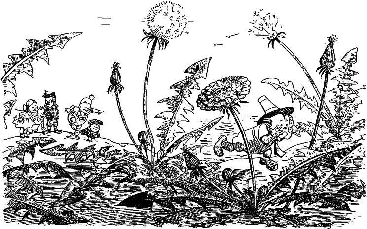 Приключения Незнайки и его друзей (худ. К. и В. Григорьевы) (СИ) - _112.jpg