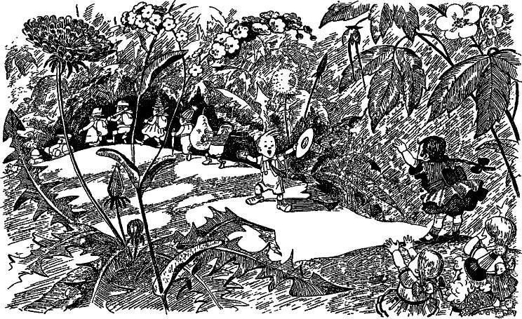 Приключения Незнайки и его друзей (худ. К. и В. Григорьевы) (СИ) - _119.jpg