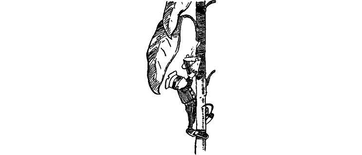 Приключения Незнайки и его друзей (худ. К. и В. Григорьевы) (СИ) - _28.jpg