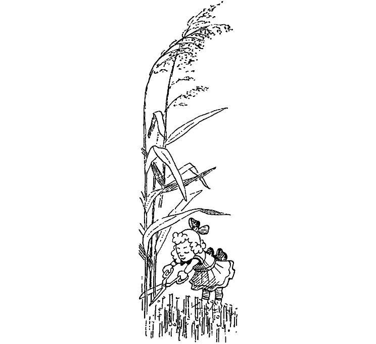 Приключения Незнайки и его друзей (худ. К. и В. Григорьевы) (СИ) - _60.jpg