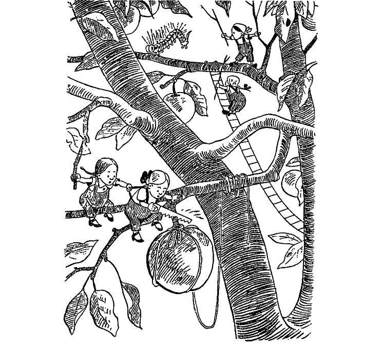 Приключения Незнайки и его друзей (худ. К. и В. Григорьевы) (СИ) - _62.jpg