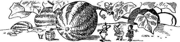 Приключения Незнайки и его друзей (худ. К. и В. Григорьевы) (СИ) - _63.jpg