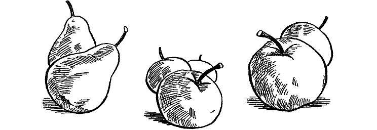 Приключения Незнайки и его друзей (худ. К. и В. Григорьевы) (СИ) - _92.jpg