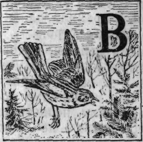 Зеленая книга леса - i_013.png