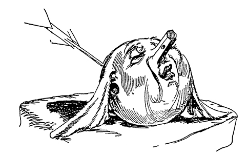 Серебряная Принцесса в Стране Оз - pic.0029.jpg