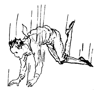 Трусливый Лев из Страны Оз - i_069.jpg