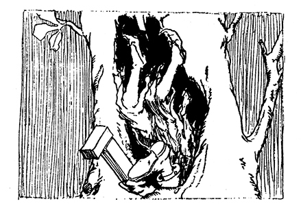 Бравый Дед в Стране Оз - pic.0016.jpg