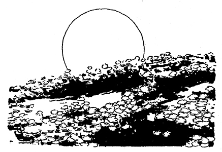 Бравый Дед в Стране Оз - pic.0067.jpg