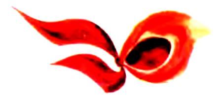 Здравствуй, отряд! - i_009.jpg