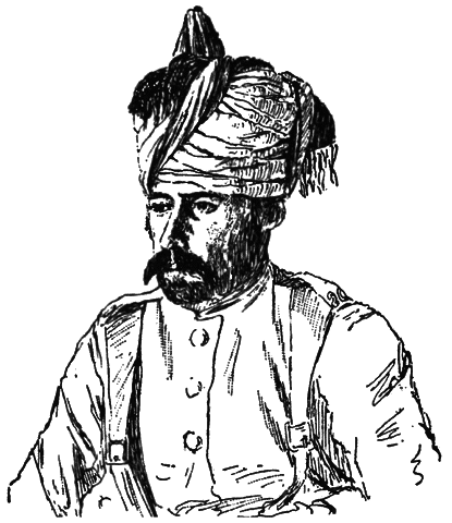 В сердце Азии. Памир — Тибет — Восточный Туркестан. Путешествие в 1893–1897 годах - i_043.png