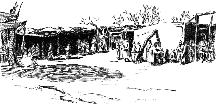 В сердце Азии. Памир — Тибет — Восточный Туркестан. Путешествие в 1893–1897 годах - i_054.png