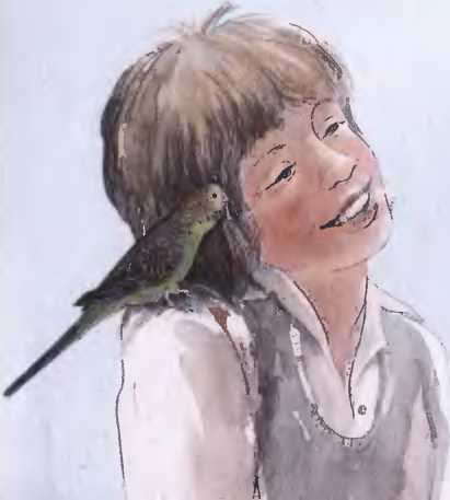 Волнистые попугаи - image16.jpg