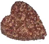 Волнистые попугаи - _22.jpg_1