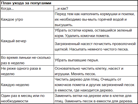 Волнистые попугаи - _3.png