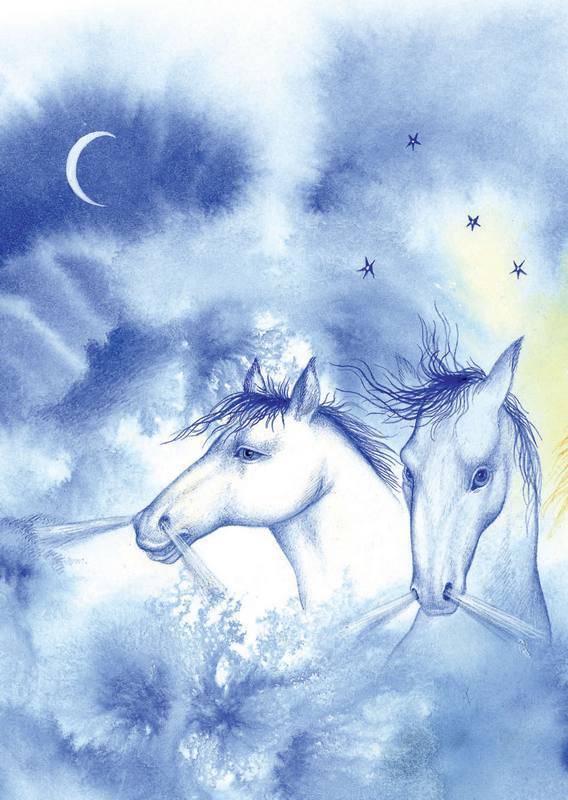 Волшебные сказки Ингушетии - i_002.jpg