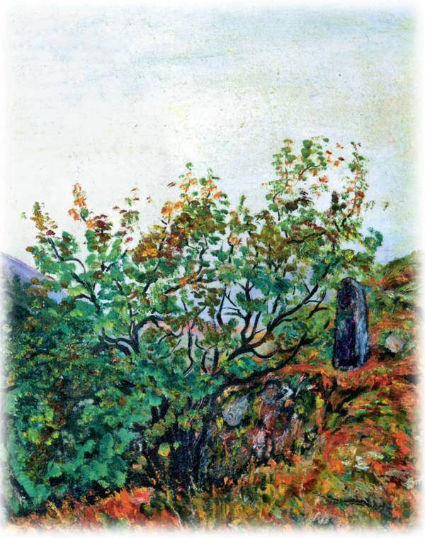 Волшебные сказки Ингушетии - i_006.jpg