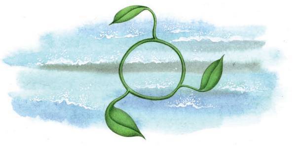 Волшебные сказки Ингушетии - i_040.jpg