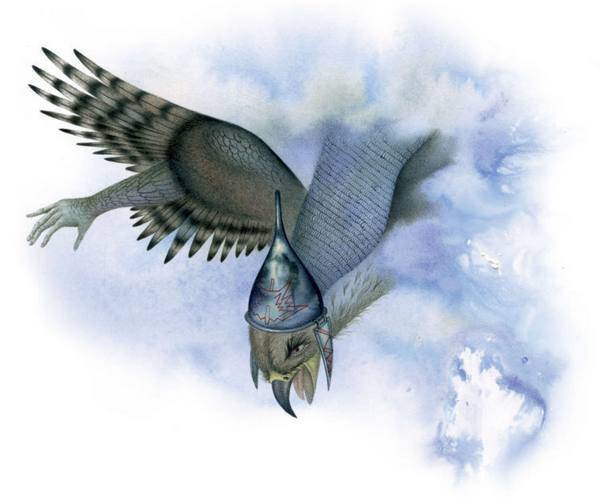 Волшебные сказки Ингушетии - i_056.jpg